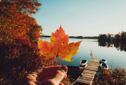 Lycées au Canada : les atouts !